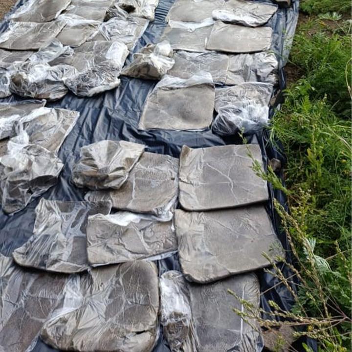 Қазақстанда АҚШ-тан келген есірткінің жолы кесілді